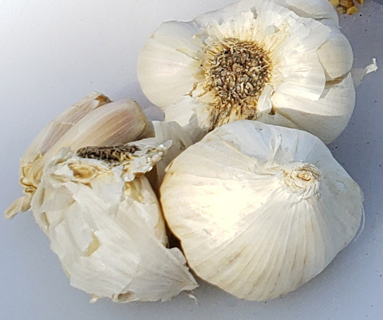 fresh garlic hot sauce